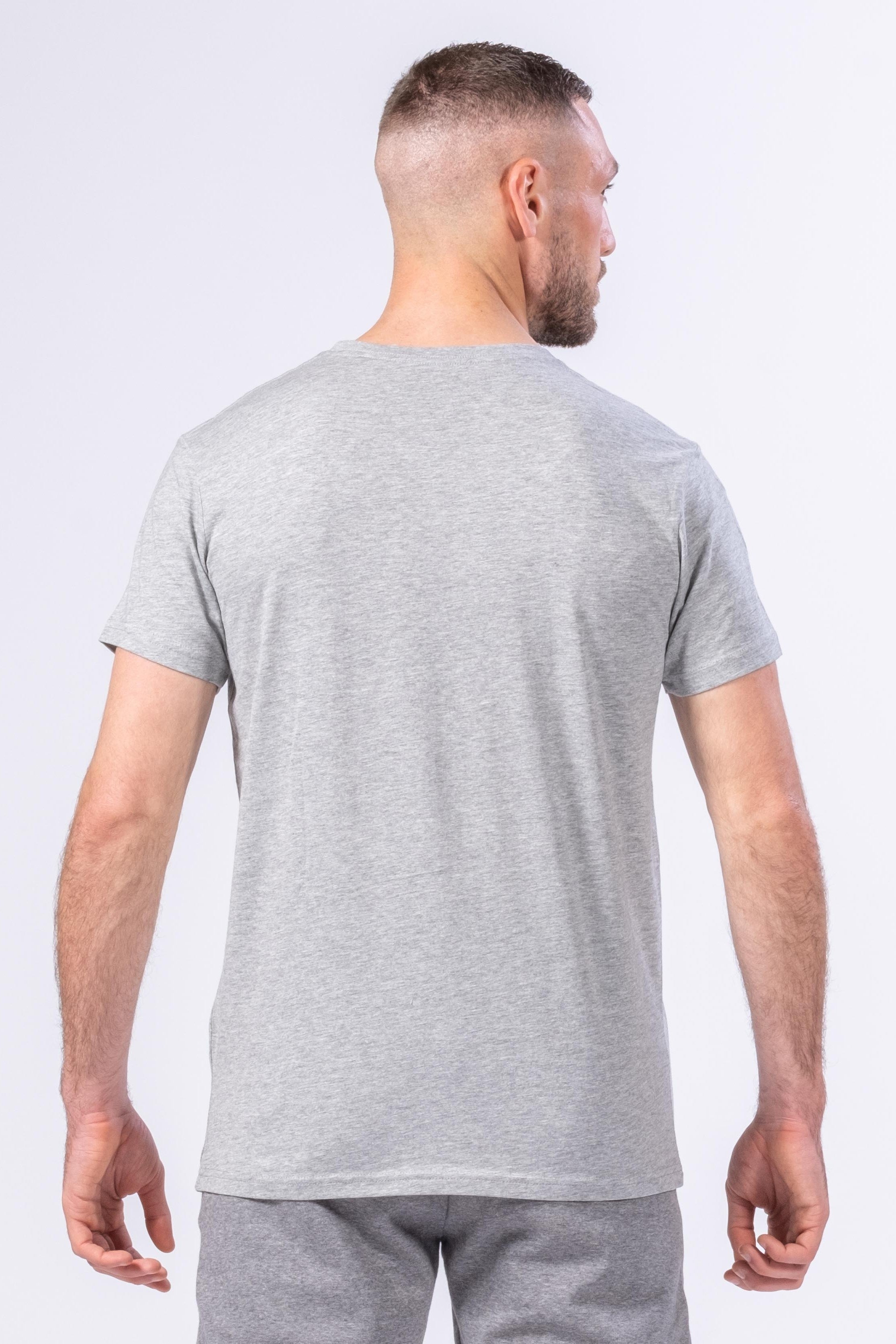 CAMISETA ORGANIC INSPIRE HOMBRE - GRIS